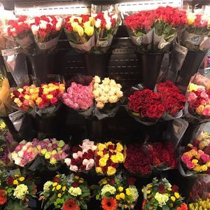 Meet your Posher, Amena